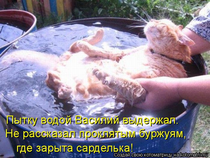 Пытку водой Василий выдержал. Не рассказал проклятым буржуям, где зарыта сарделька!... Котоматрица: Пытку водой Василий выдержал. Не рассказал проклятым буржуям, где зарыта сарделька!