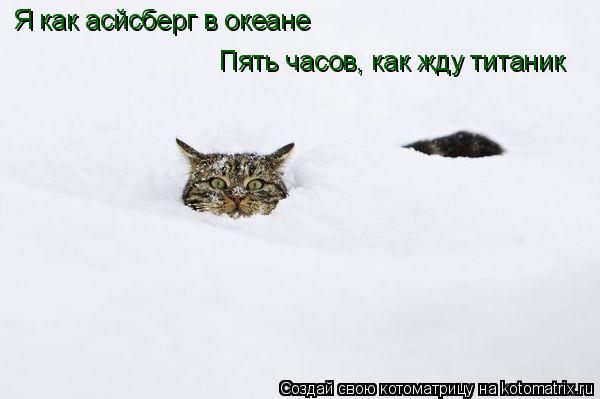 Котоматрица: Я как асйсберг в океане Пять часов, как жду титаник