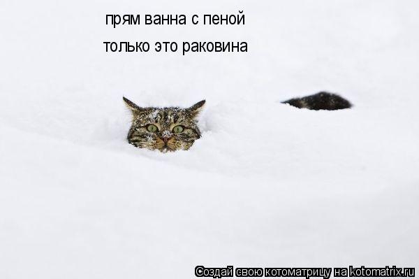 Котоматрица: прям ванна с пеной только это раковина