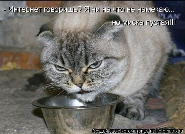 Котоматрица: - Интернет говоришь? Я ни на что не намекаю... но миска пустая!!!