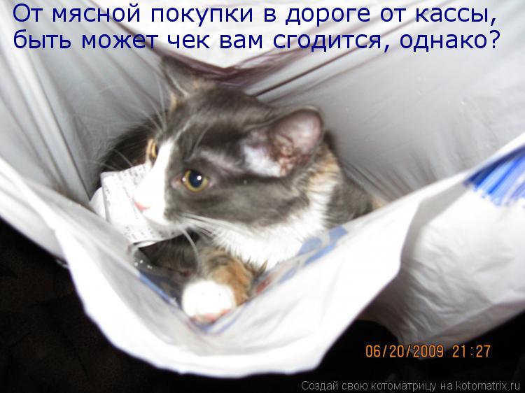 От мясной покупки в дороге от кассы, быть может чек вам сгодится, однако?... Котоматрица: От мясной покупки в дороге от кассы, быть может чек вам сгодится, однако?