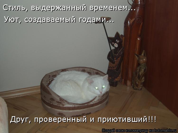 Стиль, выдержанный временем... Уют, создаваемый годами... Друг, проверенный и приютивший!!!... Котоматрица: Стиль, выдержанный временем... Уют, создаваемый годами... Друг, проверенный и приютивший!!!