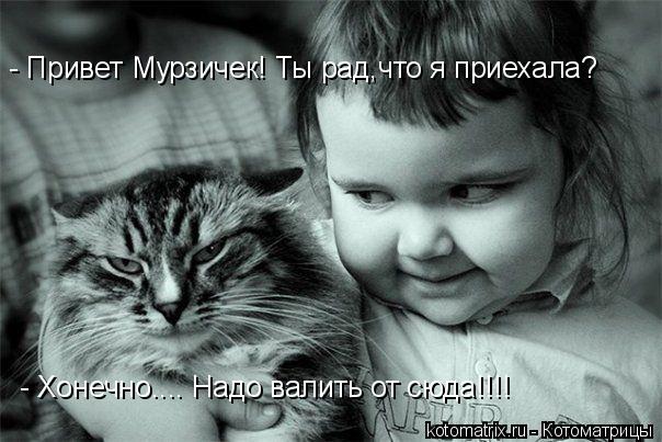 - Привет Мурзичек! Ты рад,что я приехала? - Хонечно.... Надо валить от сюда!!!!... Котоматрица: - Привет Мурзичек! Ты рад,что я приехала? - Хонечно.... Надо валить от сюда!!!!