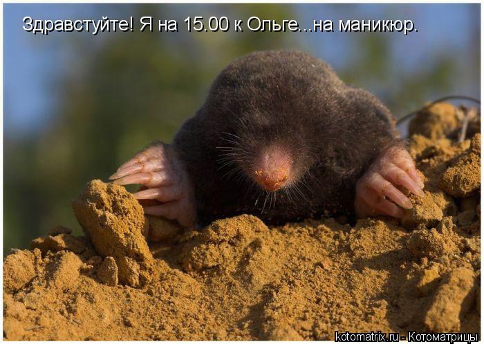 Котоматрица: Здравстуйте! Я на 15.00 к Ольге...на маникюр.