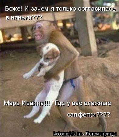 Котоматрица: Боже! И зачем я только согласилась  в няньки??? Марь Иванна!!!! Где у вас влажные салфетки????