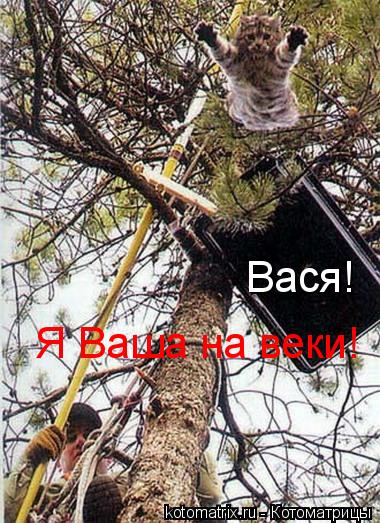 Котоматрица: Вася!  Я Ваша на веки!