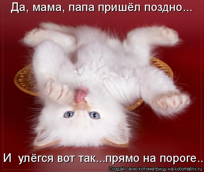 Котоматрица: Да, мама, папа пришёл поздно... И  улёгся вот так...прямо на пороге...