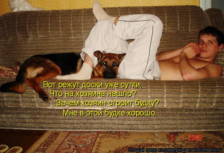 Вот режут доски уже сутки, Что на хозяина нашло? Зачем хозяин строит будку? Мне в этой будке хорошо..... Котоматрица: Вот режут доски уже сутки, Что на хозяина нашло? Зачем хозяин строит будку? Мне в этой будке хорошо...