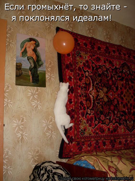 Если громыхнёт, то знайте - я поклонялся идеалам!... Котоматрица: Если громыхнёт, то знайте - я поклонялся идеалам!