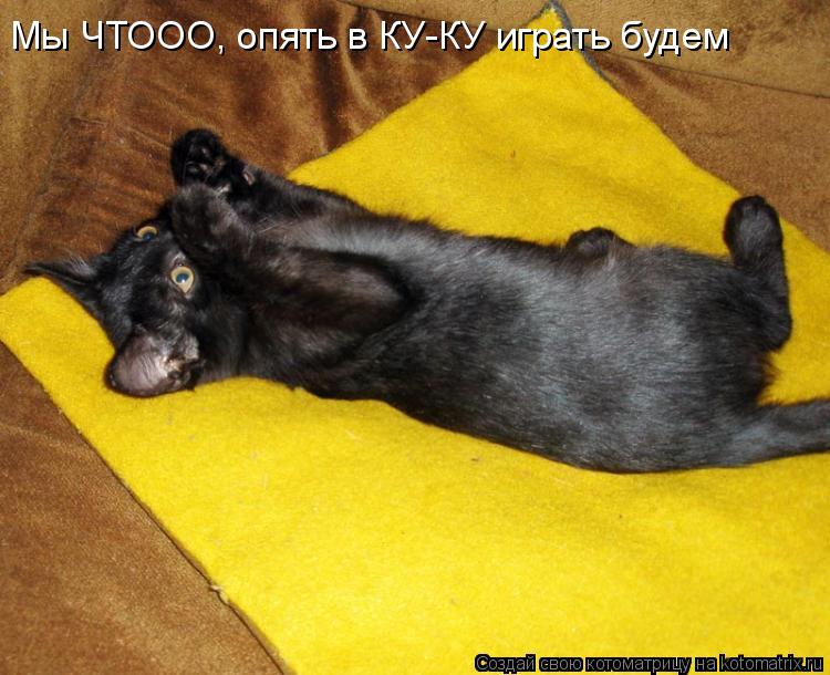 Котоматрица: Мы ЧТООО, опять в КУ-КУ играть будем