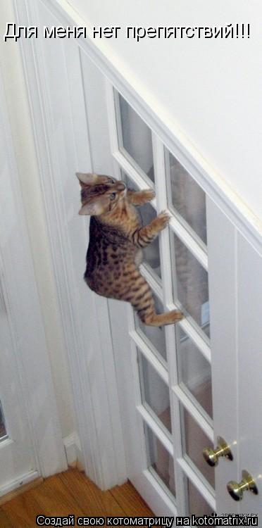 Котоматрица: Для меня нет препятствий!!!