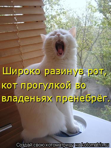 Котоматрица: Широко разинув рот, кот прогулкой во владеньях пренебрёг.