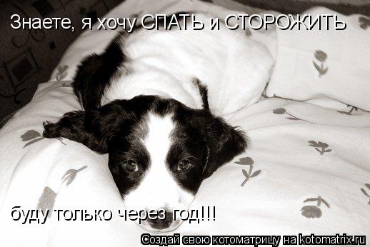 Котоматрица: Знаете, я хочу СПАТЬ и СТОРОЖИТЬ буду только через год!!!