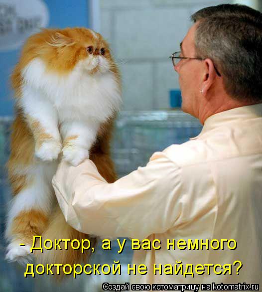 Котоматрица: - Доктор, а у вас немного  докторской не найдется?