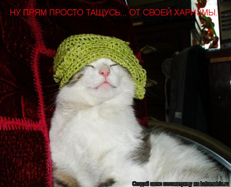 НУ ПРЯМ ПРОСТО ТАЩУСЬ... ОТ СВОЕЙ ХАРИЗМЫ...... Котоматрица: НУ ПРЯМ ПРОСТО ТАЩУСЬ... ОТ СВОЕЙ ХАРИЗМЫ...
