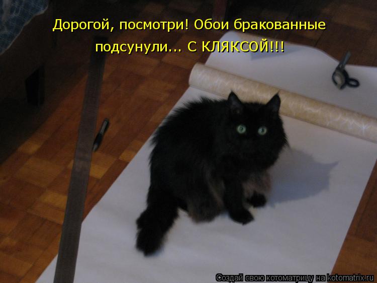 Дорогой, посмотри! Обои бракованные подсунули... С КЛЯКСОЙ!!!... Котоматрица: Дорогой, посмотри! Обои бракованные подсунули... С КЛЯКСОЙ!!!