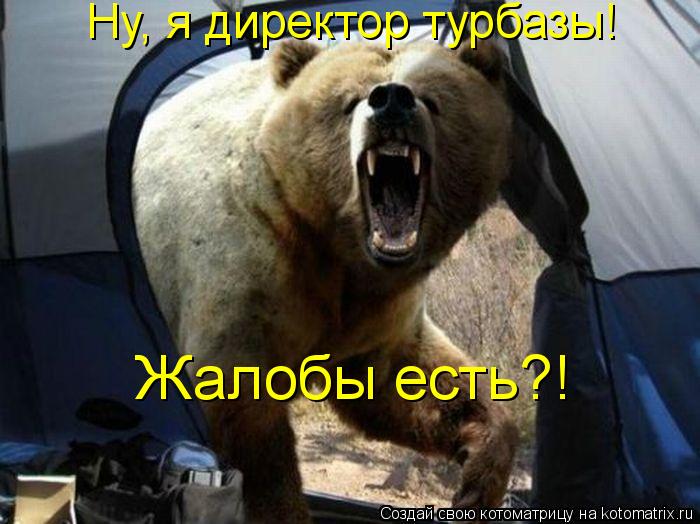 Котоматрица: Ну, я директор турбазы! Жалобы есть?!