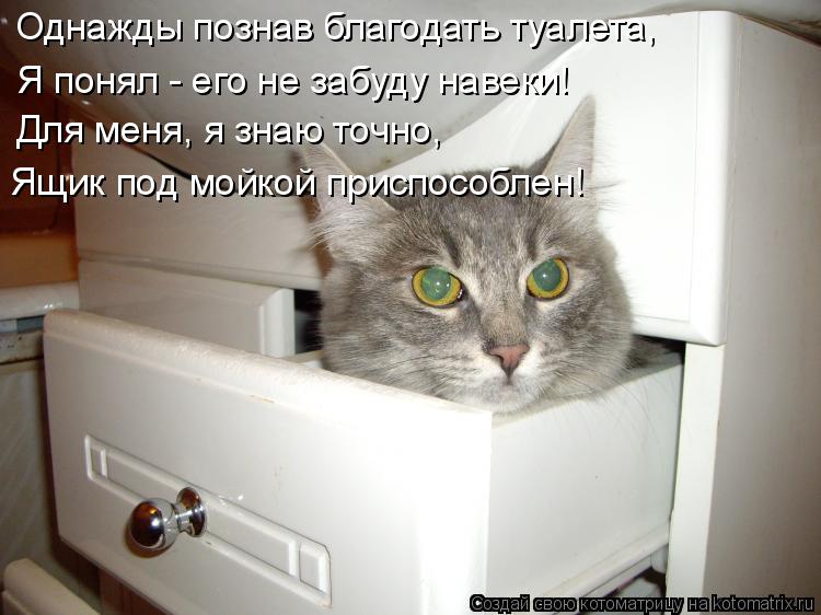 Котоматрица: Однажды познав благодать туалета, Я понял - его не забуду навеки! Для меня, я знаю точно, Ящик под мойкой приспособлен!
