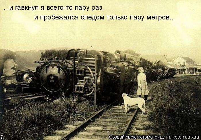 ...и гавкнул я всего-то пару раз, и пробежался следом только пару метров...... Котоматрица: ...и гавкнул я всего-то пару раз, и пробежался следом только пару метров...