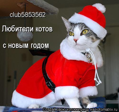 Котоматрица: club5853562 Любители котов с новым годом