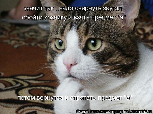 Котоматрица: значит так...надо свернуть заугол обойти хозяйку и взять предмет "а" потом вернутся и спрятать предмет "а"