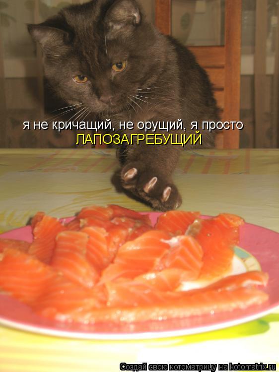 я не кричащий, не орущий, я просто ЛАПОЗАГРЕБУЩИЙ... Котоматрица: я не кричащий, не орущий, я просто ЛАПОЗАГРЕБУЩИЙ