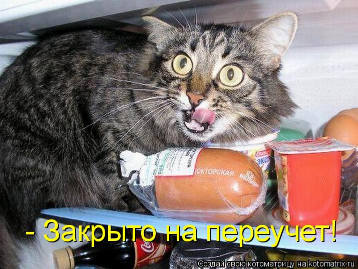 - Закрыто на переучет!... Котоматрица: - Закрыто на переучет!