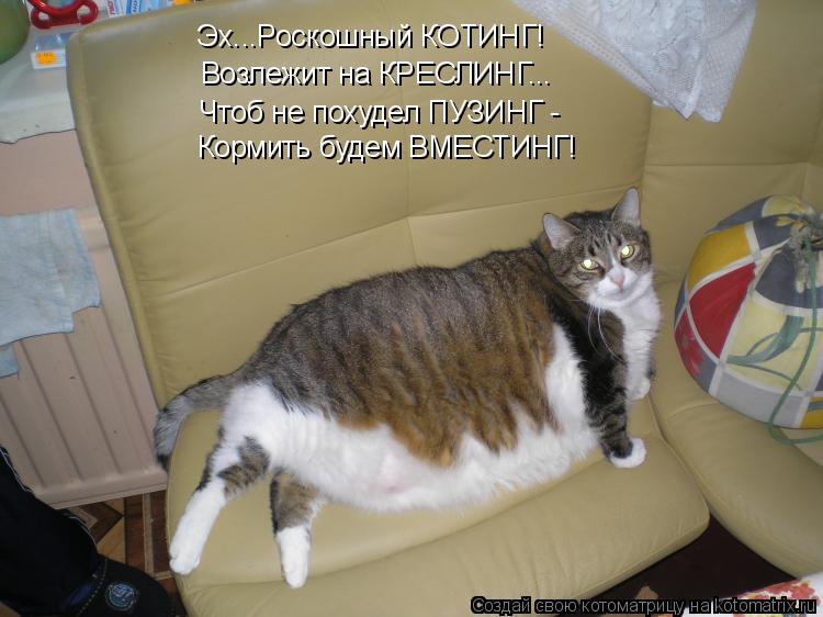 Котоматрица: Эх...Роскошный КОТИНГ! Возлежит на КРЕСЛИНГ... Чтоб не похудел ПУЗИНГ - Кормить будем ВМЕСТИНГ!