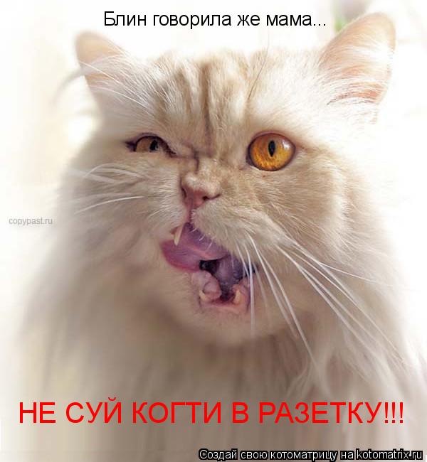 Котоматрица: Блин говорила же мама... НЕ СУЙ КОГТИ В РАЗЕТКУ!!!