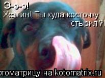 Котоматрица: Э-э-э! Хозяин! Ты куда косточку  стырил?!