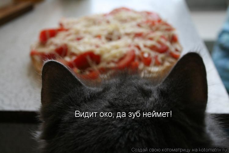 Котоматрица: Видит око, да зуб неймет!