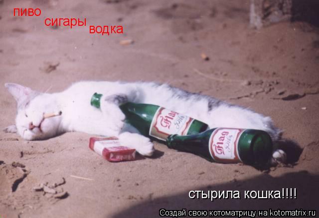Котоматрица: пиво сигары водка стырила кошка!!!!