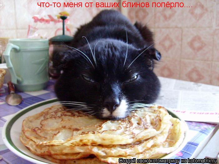 Котоматрица: что-то меня от ваших блинов попёрло....