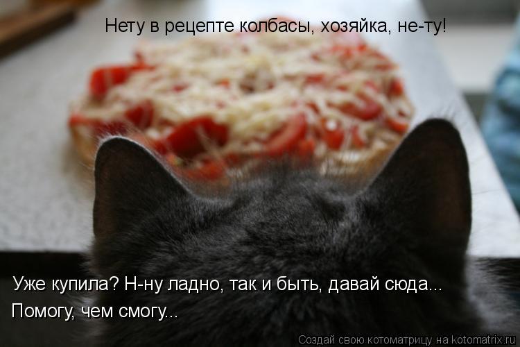 Котоматрица: Нету в рецепте колбасы, хозяйка, не-ту! Уже купила? Н-ну ладно, так и быть, давай сюда...  Помогу, чем смогу...