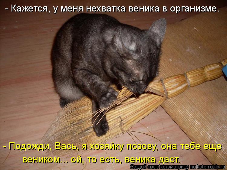- Кажется, у меня нехватка веника в организме. - Подожди, Вась, я хозяйку позову, она тебе еще веник... Котоматрица: - Кажется, у меня нехватка веника в организме. - Подожди, Вась, я хозяйку позову, она тебе еще веником... ой, то есть, веника даст.
