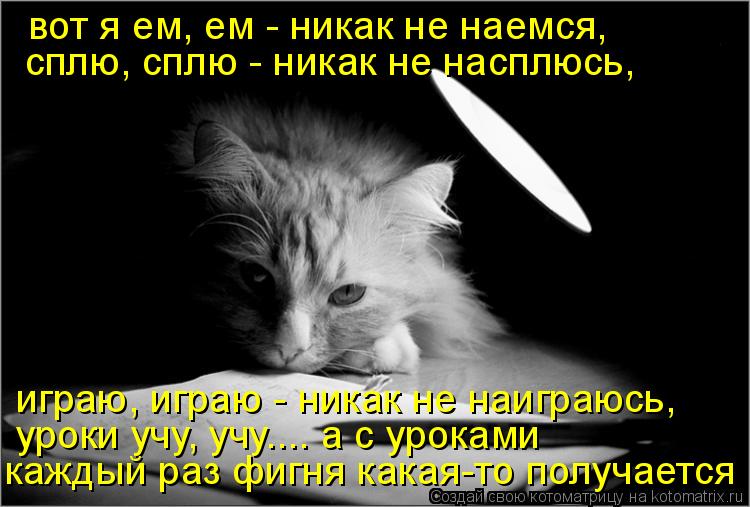 вот я ем, ем - никак не наемся, играю, играю - никак не наиграюсь, сплю, сплю - никак не насплюсь, у... Котоматрица: вот я ем, ем - никак не наемся, играю, играю - никак не наиграюсь, сплю, сплю - никак не насплюсь, уроки учу, учу.... a с уроками каждый раз фигня к