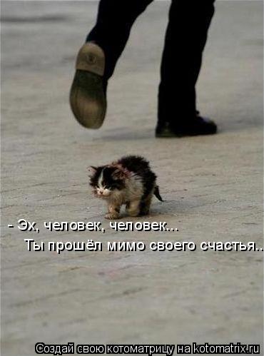 Котоматрица: Ты прошёл мимо своего счастья... - Эх, человек, человек...