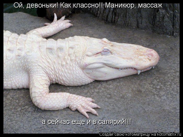 Котоматрица: Ой, девоньки! Как классно!! Маникюр, массаж а сейчас еще и в салярий!!!