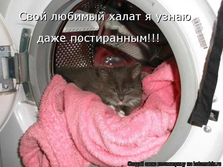 Котоматрица: Свой любимый халат я узнаю  даже постиранным!!!