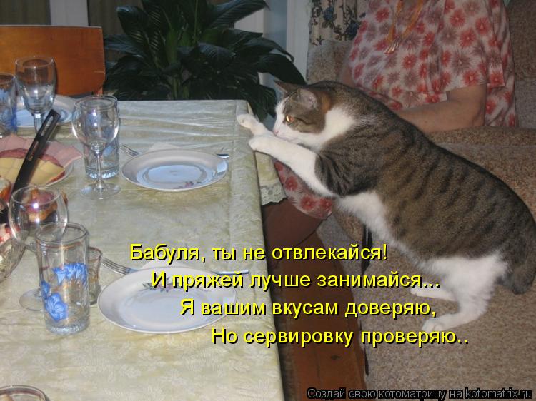 Бабуля, ты не отвлекайся! И пряжей лучше занимайся... Я вашим вкусам доверяю, Но сервировку проверяю.... Котоматрица: Бабуля, ты не отвлекайся! И пряжей лучше занимайся... Я вашим вкусам доверяю, Но сервировку проверяю..