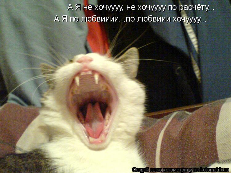 Котоматрица: А Я не хочуууу, не хочуууу по расчёту... А Я по любвииии...по любвиии хочуууу...
