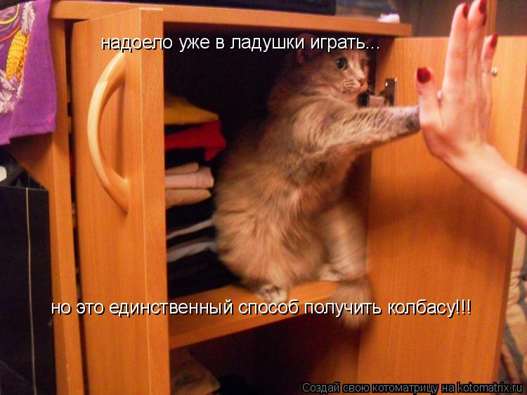 Котоматрица: надоело уже в ладушки играть... но это единственный способ получить колбасу!!!