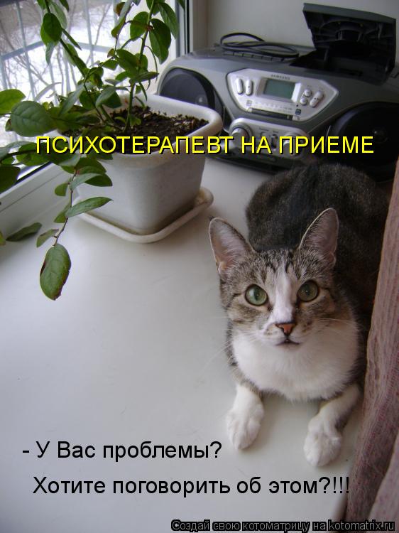 Котоматрица: ПСИХОТЕРАПЕВТ НА ПРИЕМЕ  Хотите поговорить об этом?!!! - У Вас проблемы?