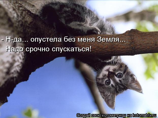 - Н-да... опустела без меня Земля... Надо срочно спускаться!... Котоматрица: - Н-да... опустела без меня Земля... Надо срочно спускаться!
