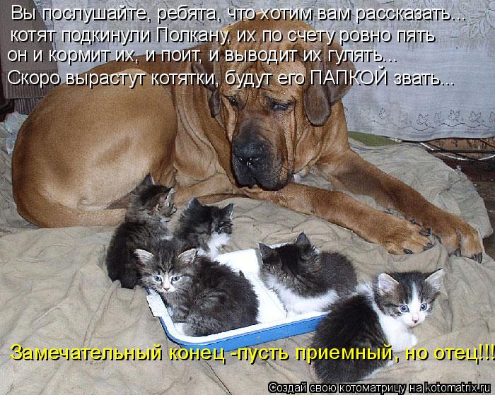 Вы послушайте, ребята, что хотим вам рассказать... котят подкинули Полкану, их по счету ровно пять он... Котоматрица: Вы послушайте, ребята, что хотим вам рассказать... котят подкинули Полкану, их по счету ровно пять он и кормит их, и поит, и выводит их гулять...