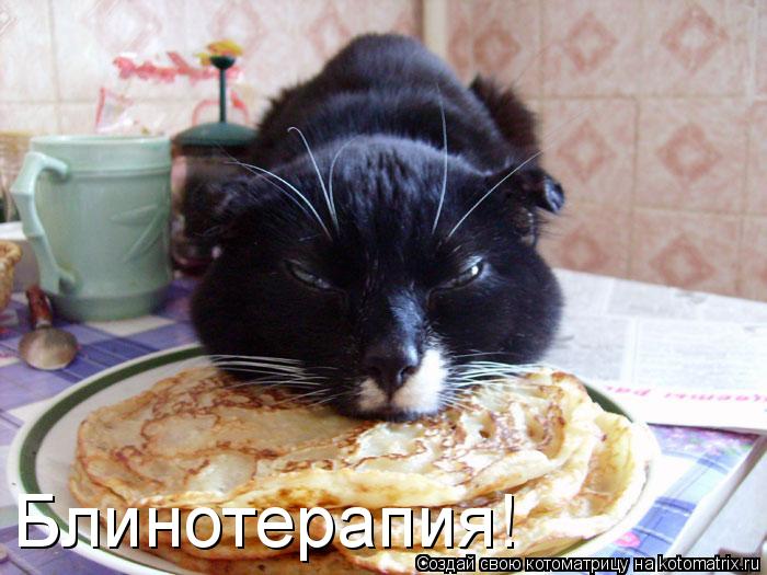 Блинотерапия!... Котоматрица: Блинотерапия!