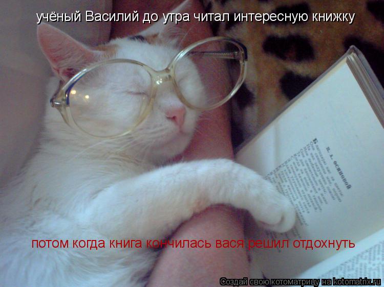 Котоматрица: учёный Василий до утра читал интересную книжку потом когда книга кончилась вася решил отдохнуть
