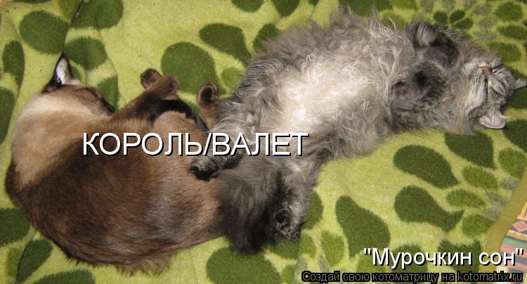 Котоматрица: КОРОЛЬ/ВАЛЕТ "Мурочкин сон"