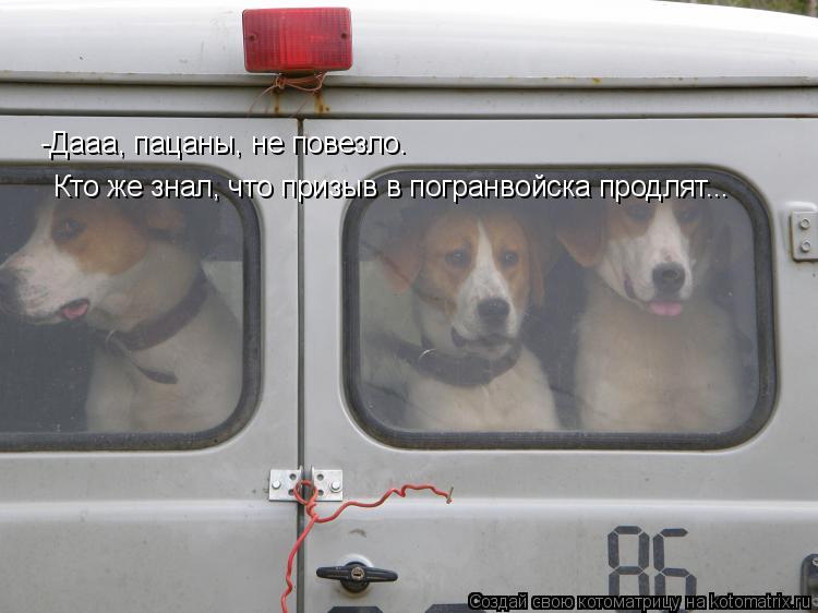 -Дааа, пацаны, не повезло. Кто же знал, что призыв в погранвойска продлят...... Котоматрица: -Дааа, пацаны, не повезло. Кто же знал, что призыв в погранвойска продлят...
