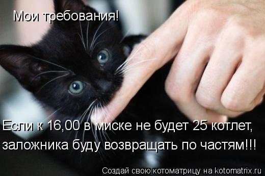 Мои требования! Если к 16,00 в миске не будет 25 котлет, Если к 16,00 в миске не будет 25 котлет, зал... Котоматрица: Мои требования! Если к 16,00 в миске не будет 25 котлет, Если к 16,00 в миске не будет 25 котлет, заложника буду возвращать по частям!!!